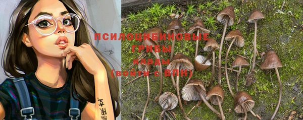 спайс Кукмор