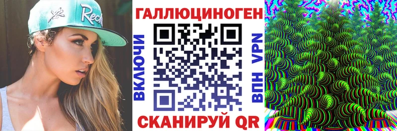 Купить закладки  Няндома  Псилоцибиновые грибы Psilocybine cubensis
