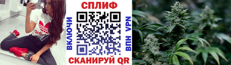 Канабис план  Купить где  Няндома 